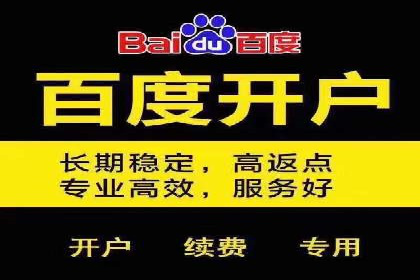 案例剖析：SEM优化策略助力网站流量提升